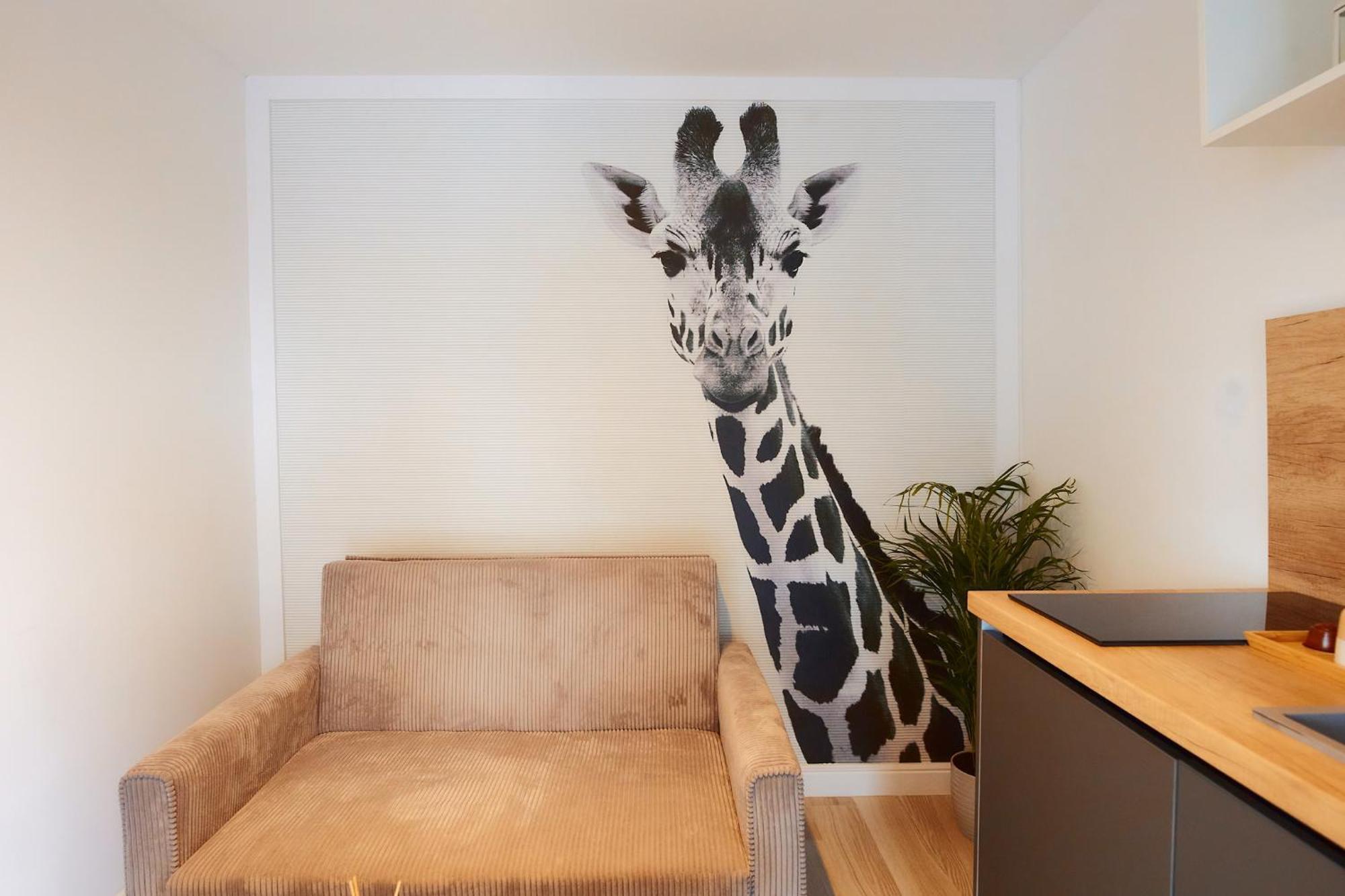 Prima Apartments Máréfalva Kültér fotó
